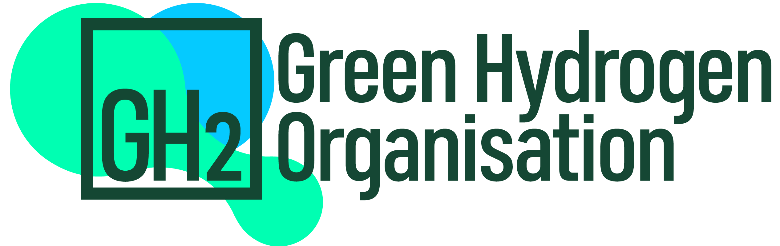 Green Hydrogen Organisation (GH2)
