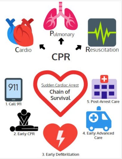 Chain of Survival Graphic