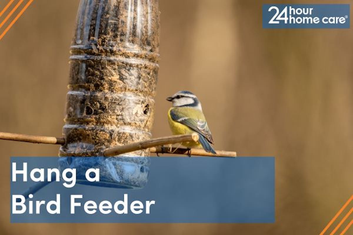 A bird hangs out on a DIY bird feeder.