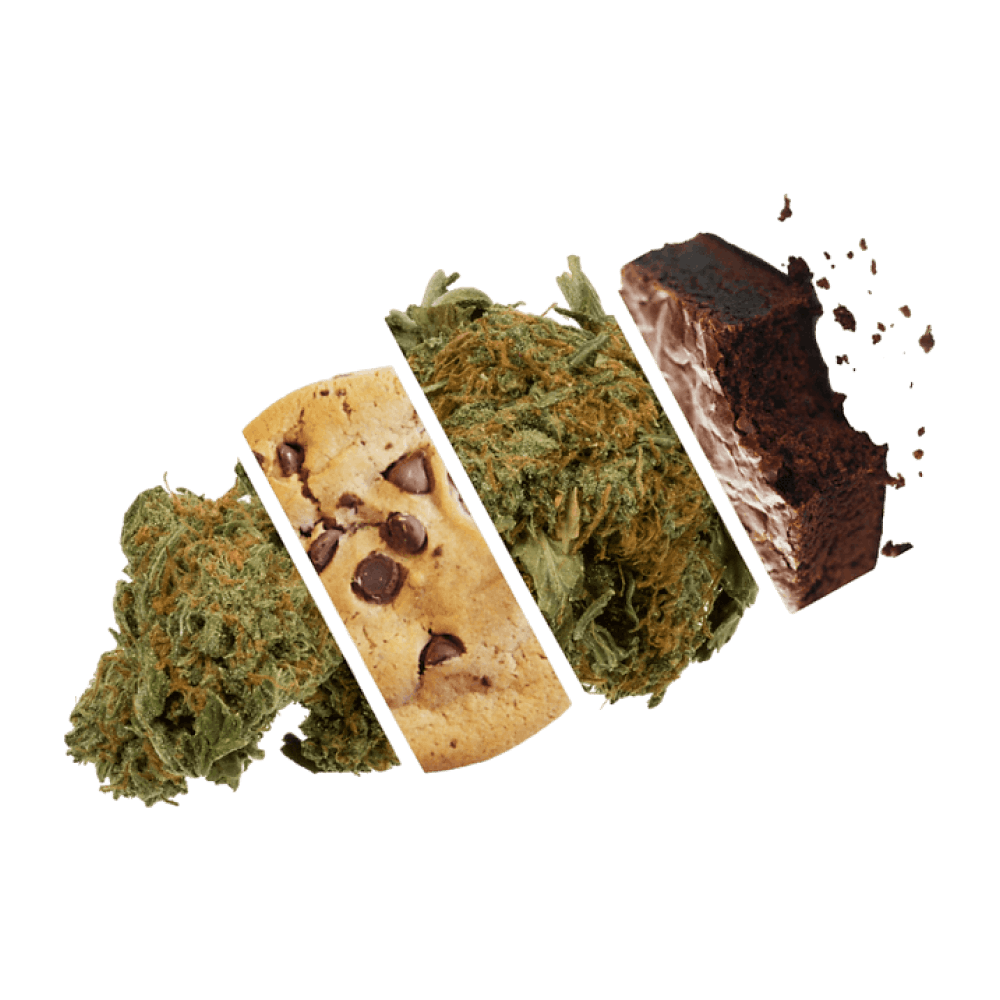 The best extracts | EXTRACT The best extracts | EXTRACT