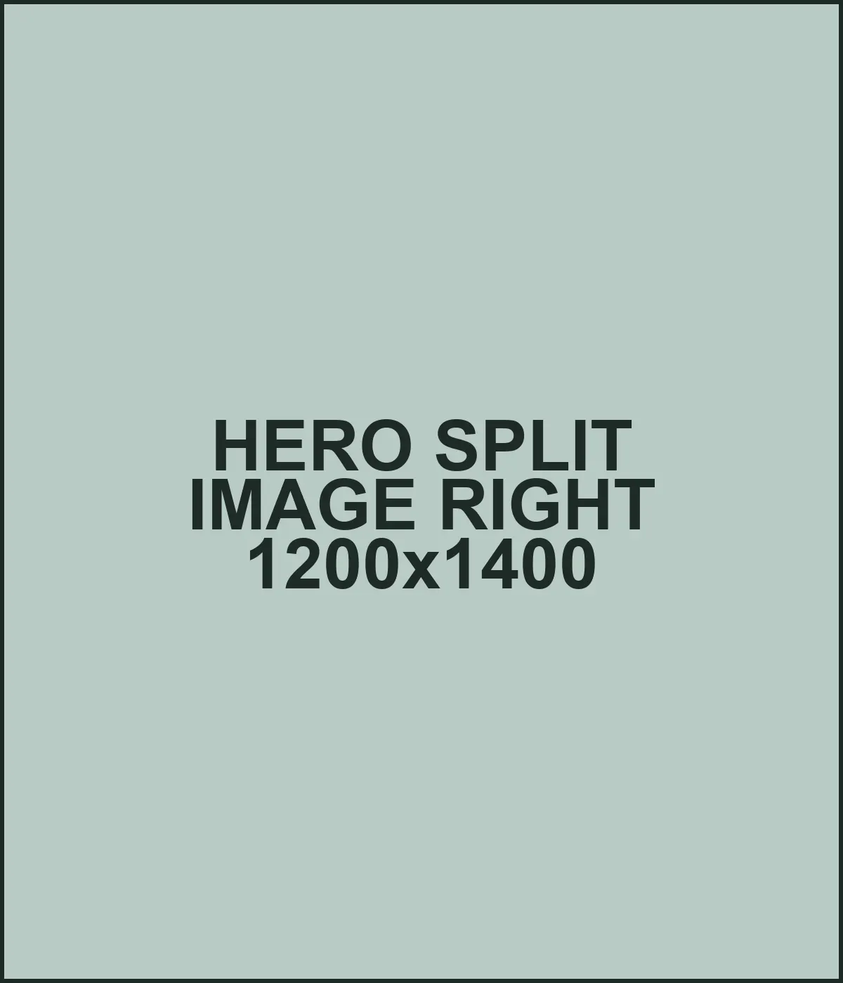 Placeholder hero image, split layout, image right