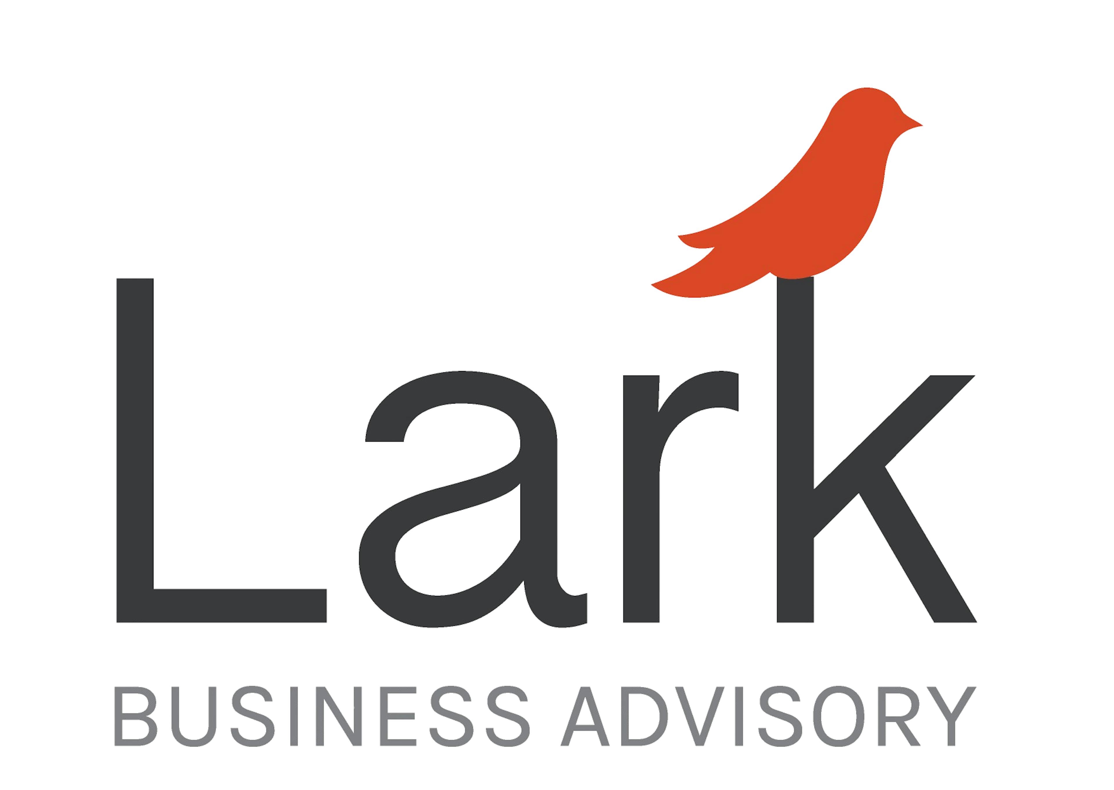 Lark Business Advisory
