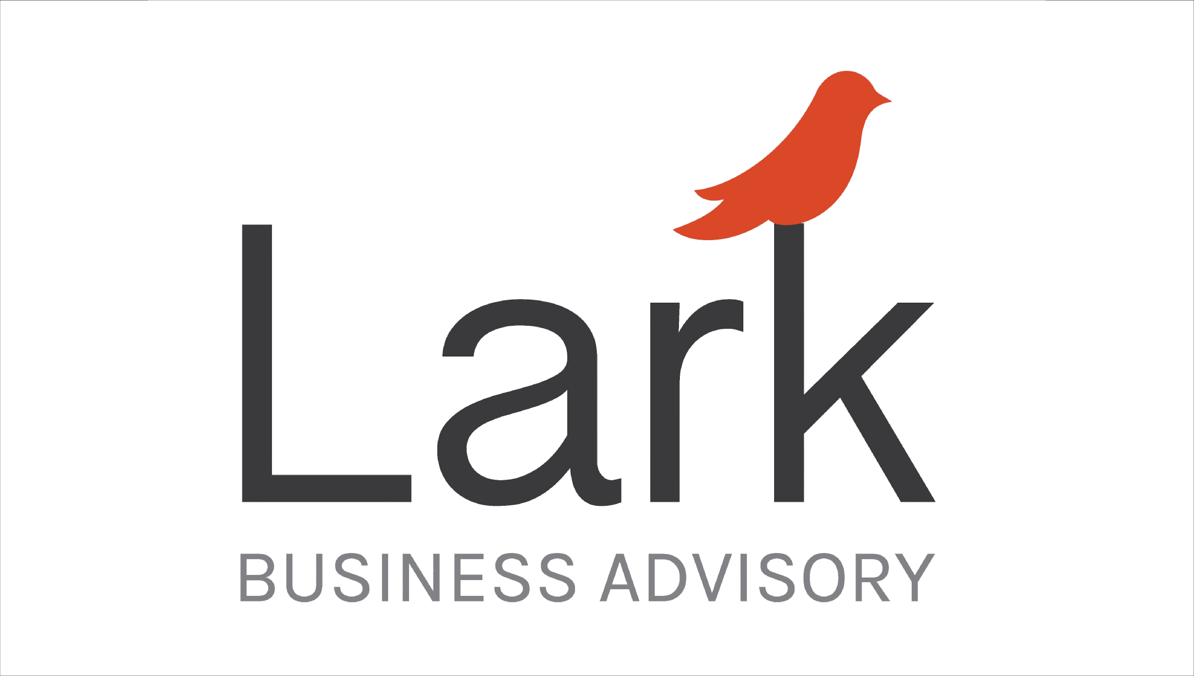 Lark Business Advisory