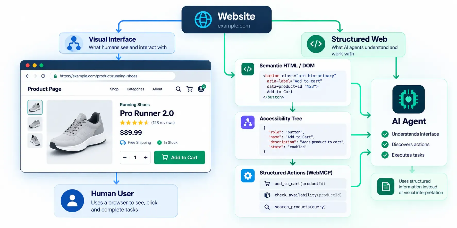 Website diagram comparing human browsing with AI agents using semantic HTML, accessibility trees, and WebMCP actions.