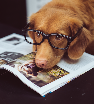 6 Ideas For How L D Teams Can Use Genially For Interactive Learning 6 Ideas For How L D Teams Can Use Genially For Interactive Learning