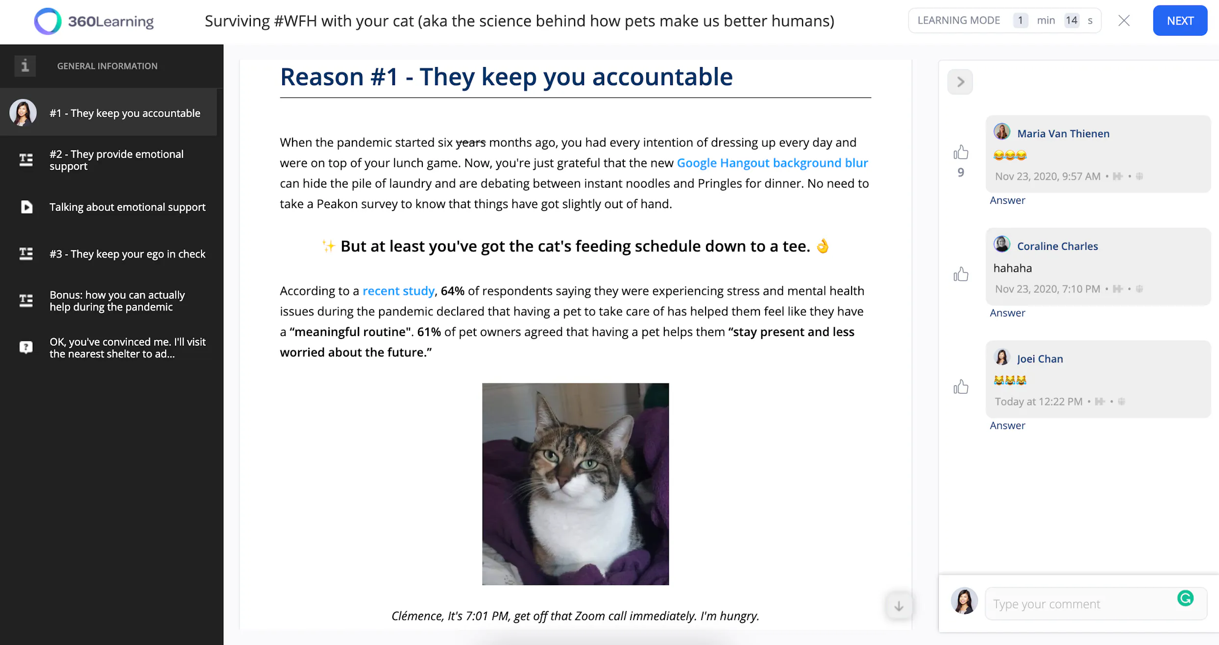 Knowvember challenge cats