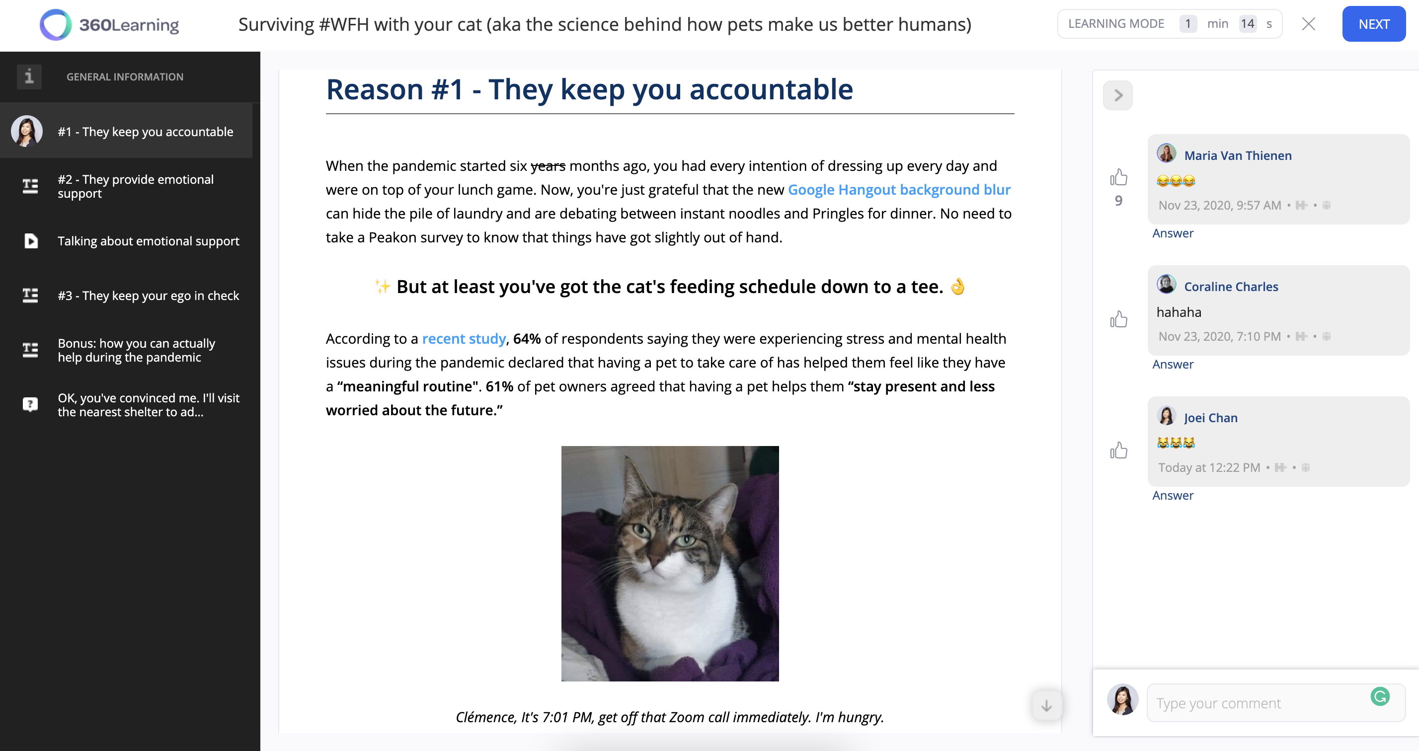 Knowvember challenge cats 360Learning