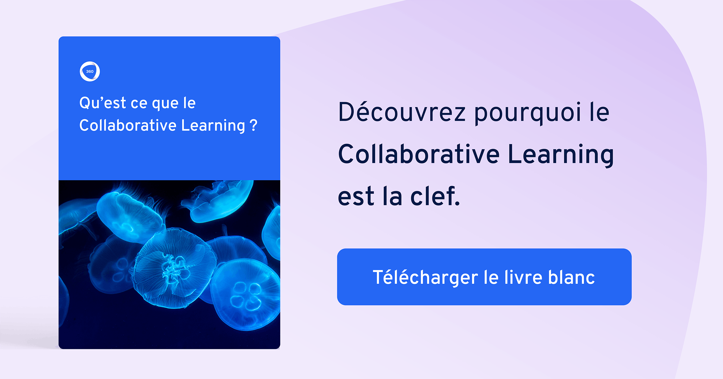 Qu'est ce que le Collaborative Learning ?
