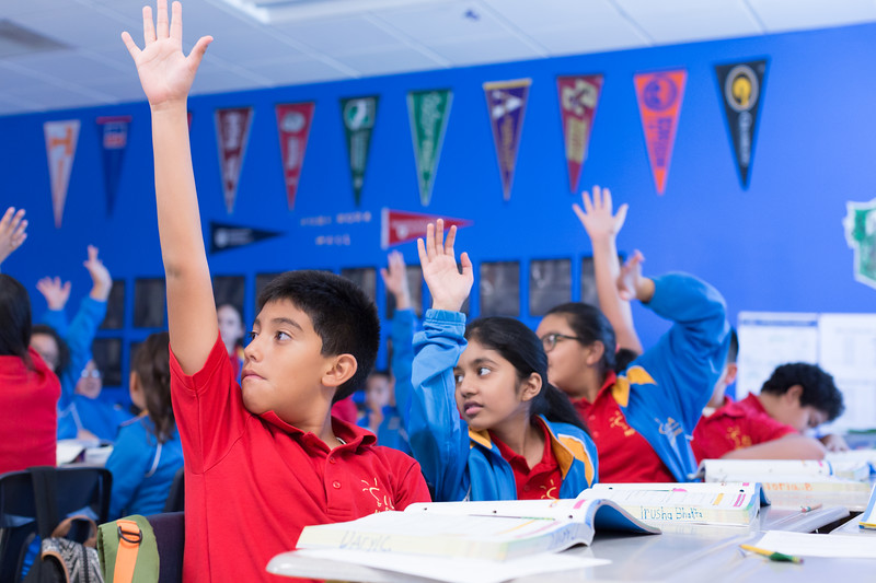 IDEA case study illustration