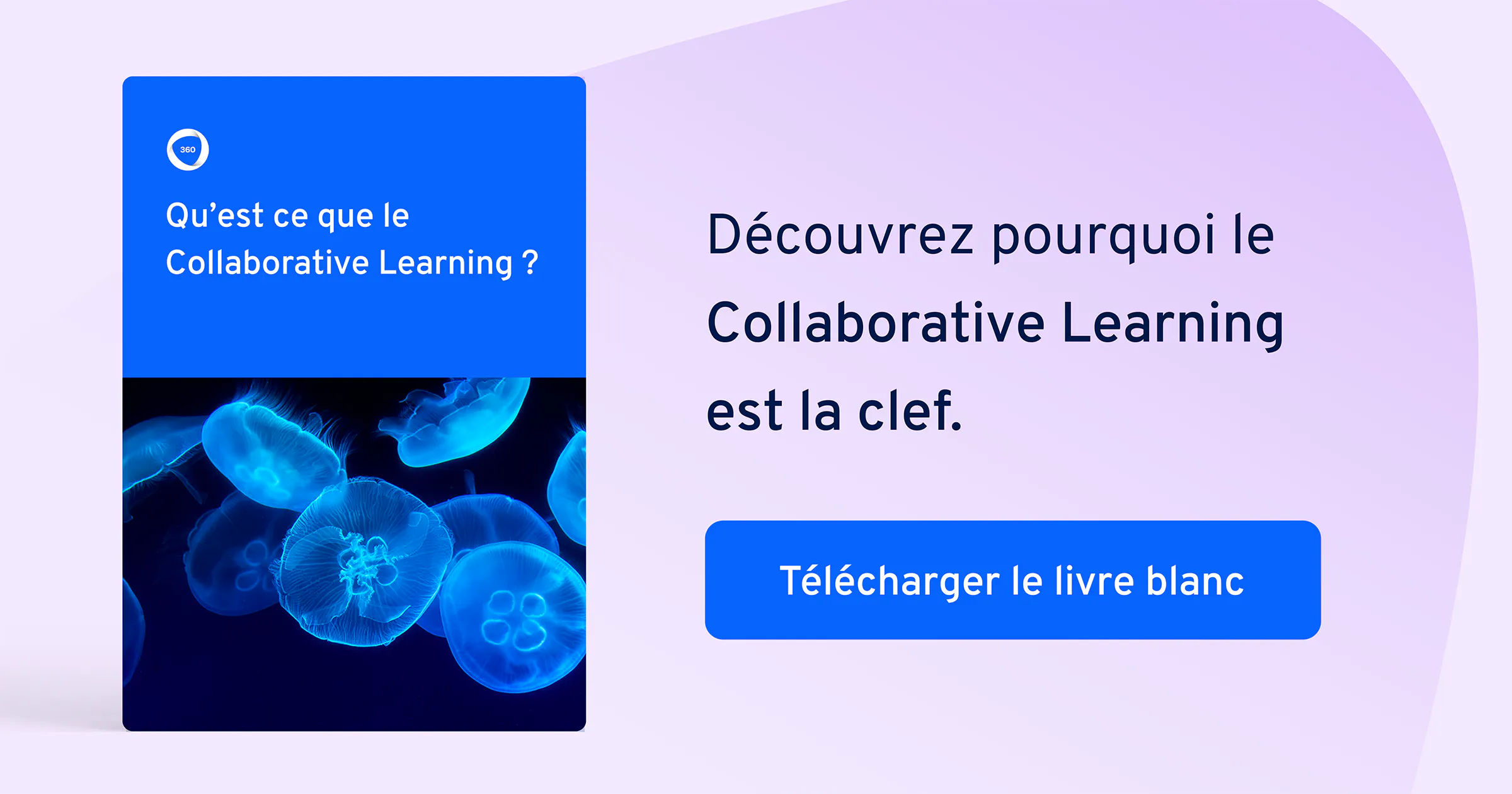 Livre blanc - Collaborative Learning