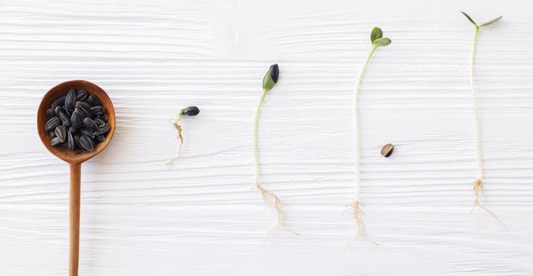 Blog-fr-8-conseils-organisme-formation