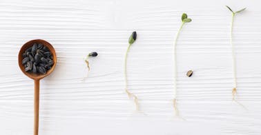 Blog-fr-8-conseils-organisme-formation