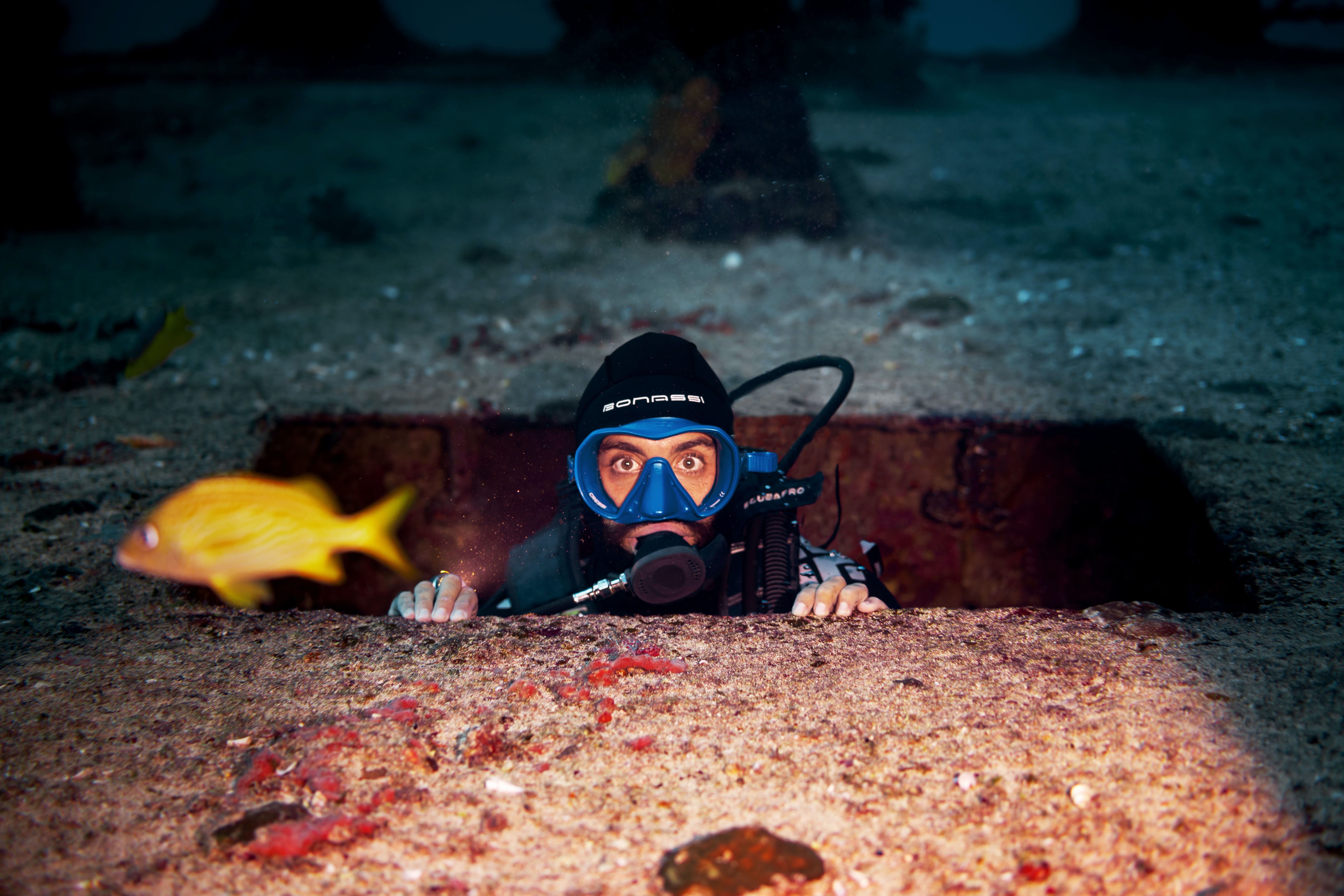 Learner needs analysis