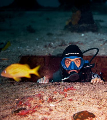 Learner needs analysis