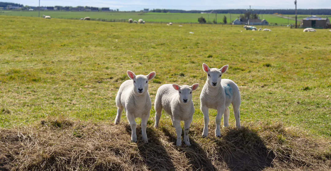 onboarding mitarbeiterbindung