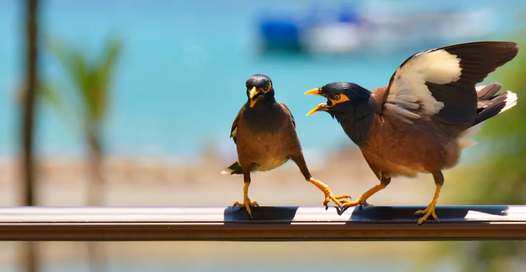 Internal communications