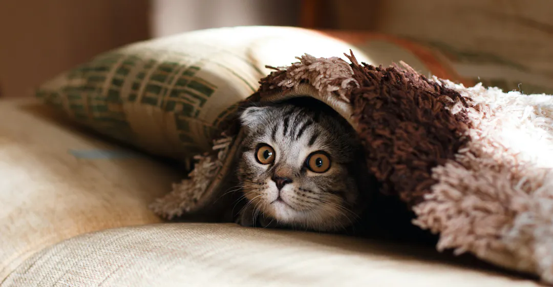 instructor-led training