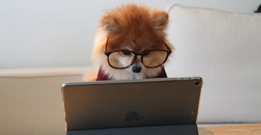 performance management