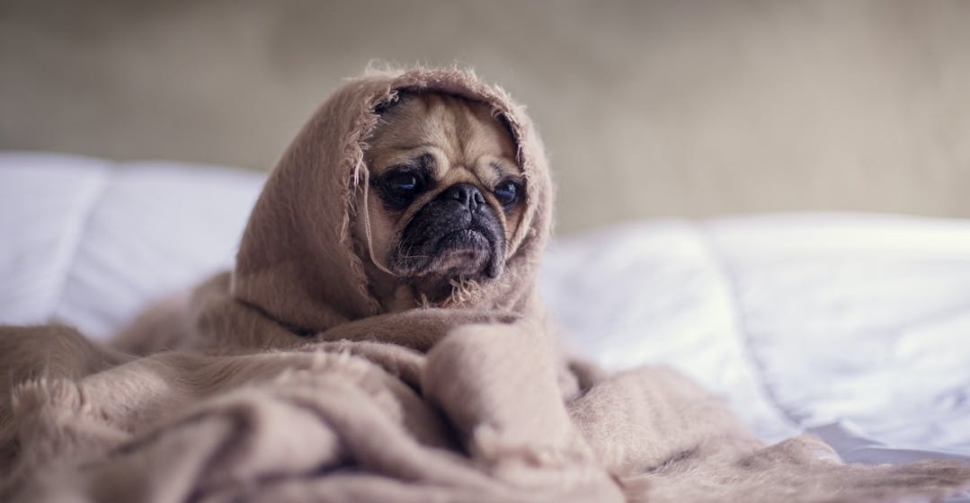 Führungskräftetraining︱360Learning