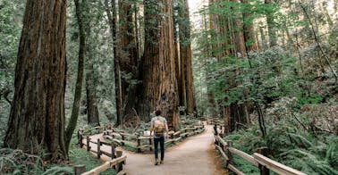 Carrière développeur - Career Path  | 360Learning