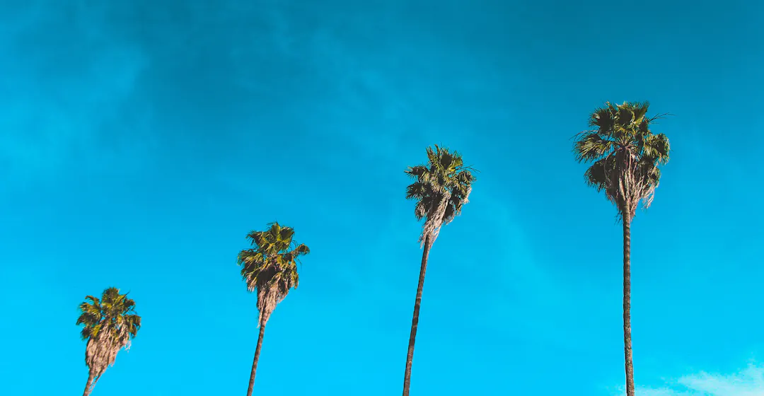 ia-formation-exemples