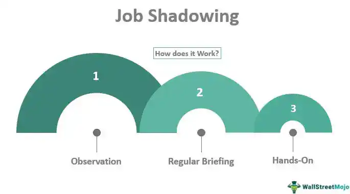 5 Ways Organizations Can Benefit from Job Shadowing