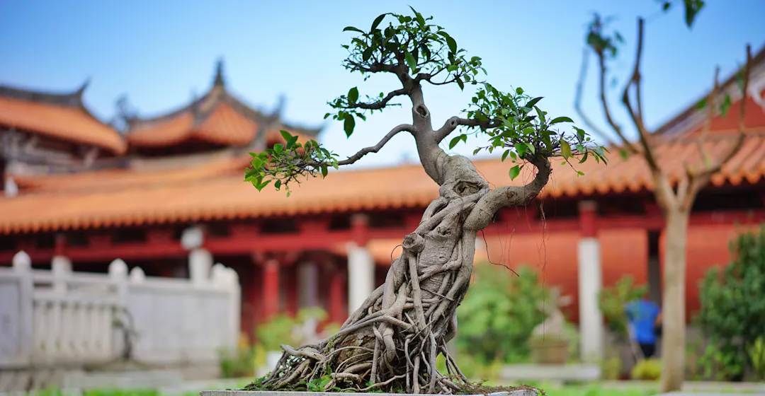 Talent Management Strategy