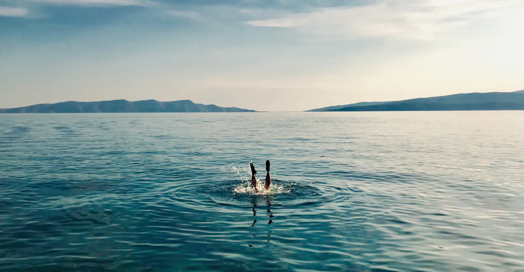 formation-e-learning-lancer-plonger