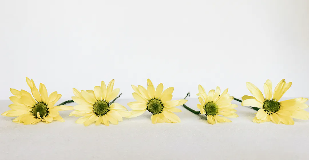 exemples-programmes-formation