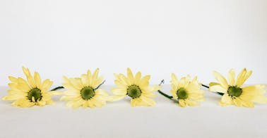 exemples-programmes-formation