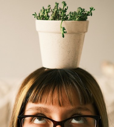 plant representing skilling and learning