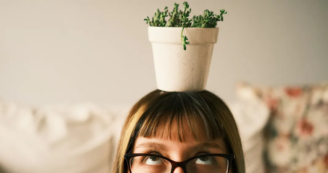 plant representing skilling and learning