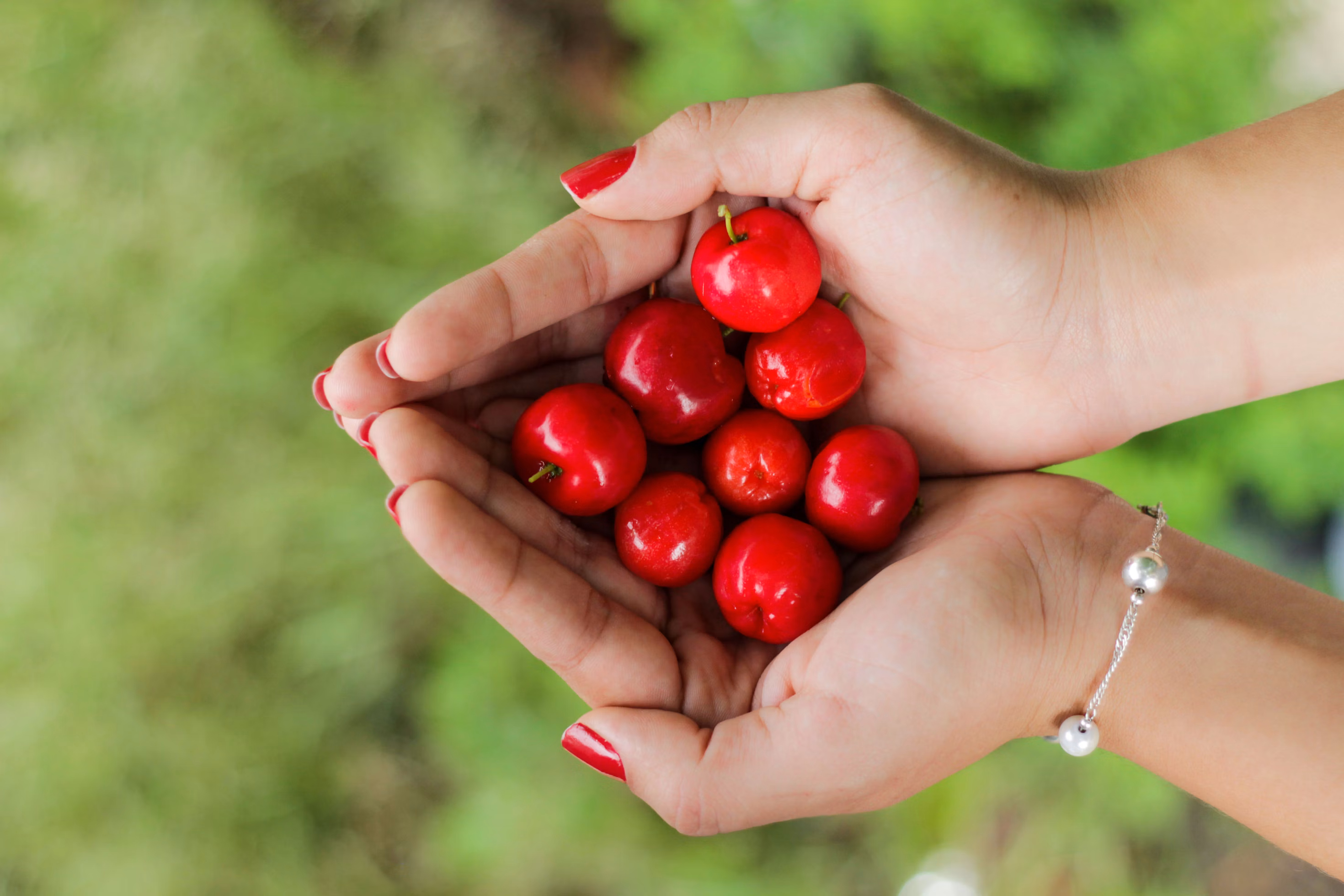 hand holding cherries representing knowledge sharing culture