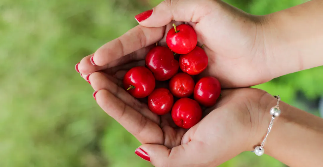 hand holding cherries representing knowledge sharing culture