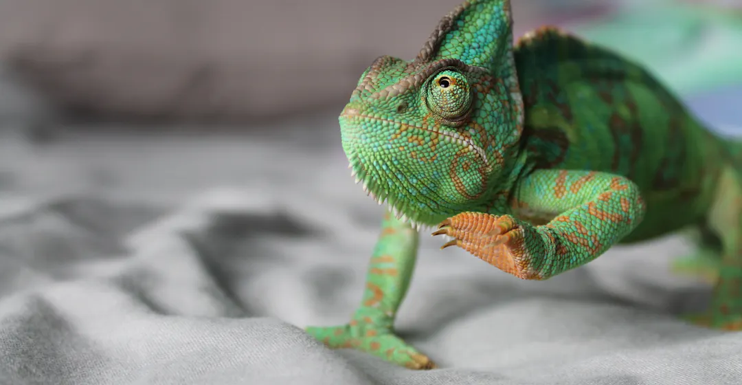 Employee Adaptability