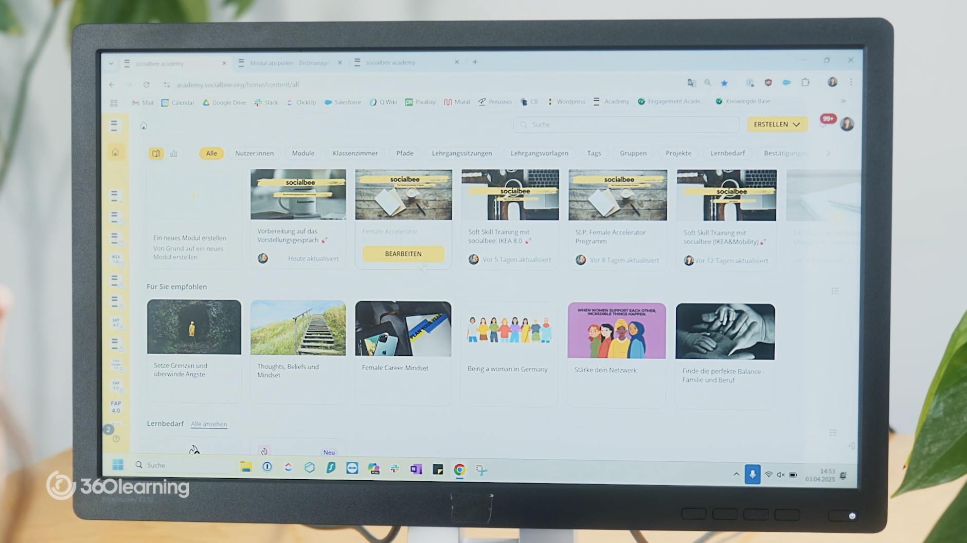 Lernangebot socialbee | 360Learning