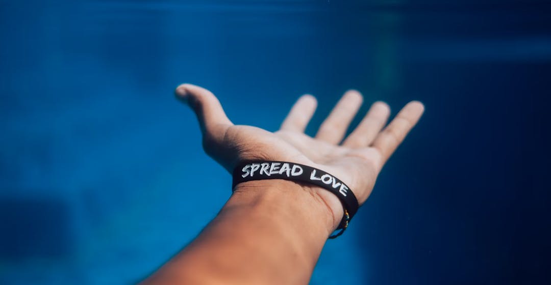 Best LMS sytems for nonprofit companies