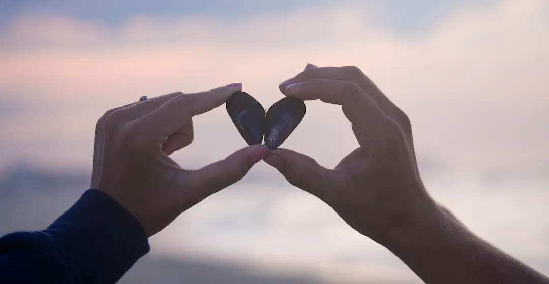 LMS & conformité financière : le duo gagnant pour une organisation toujours en règle