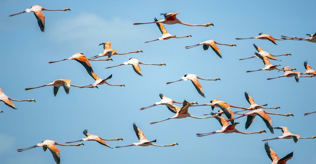 What veteran L&D leaders agree on regarding performance, skills, and AI