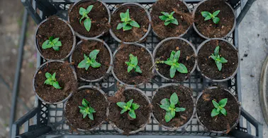 Personalentwicklung | 360Learning