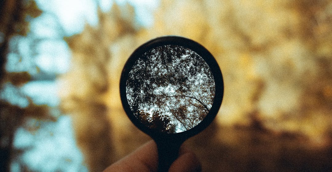 Schulungsbedarf ermitteln Vorlage | 360Learning