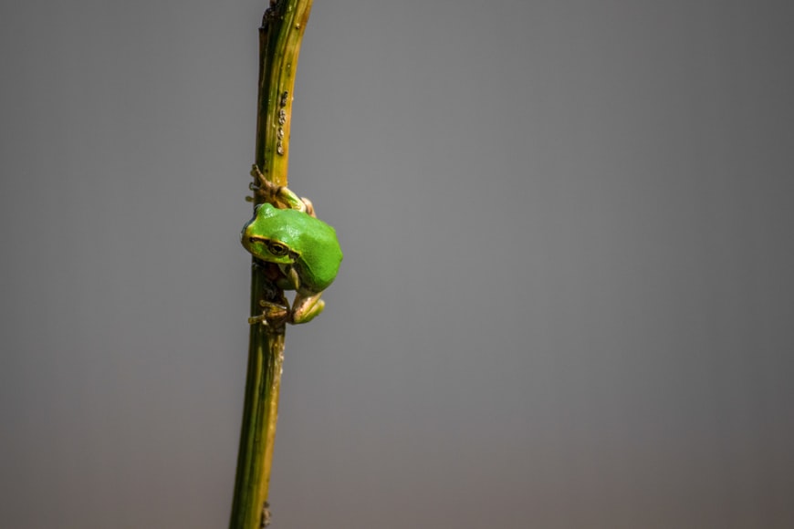 techniques-microlearning-formation | 360Learning