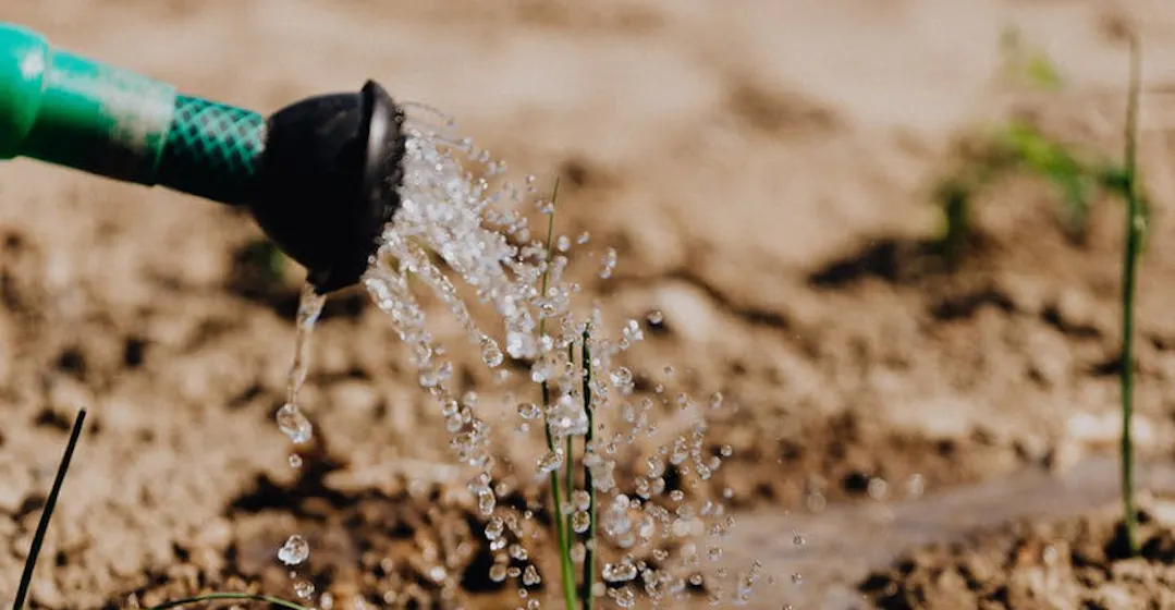 Comment soutenir la croissance en digitalisant la formation en entreprise ?