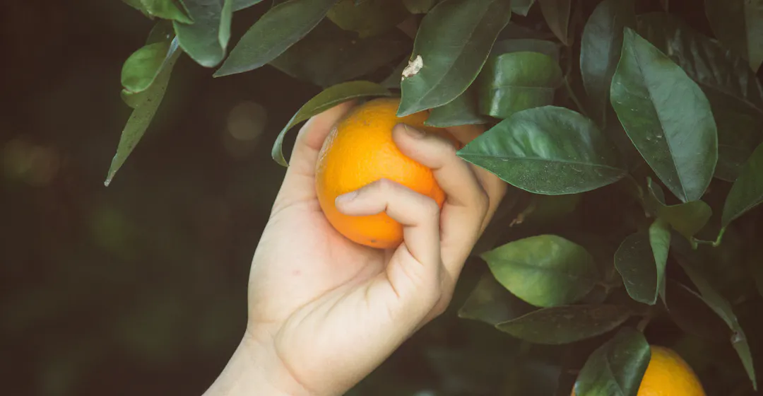 employee-training-software