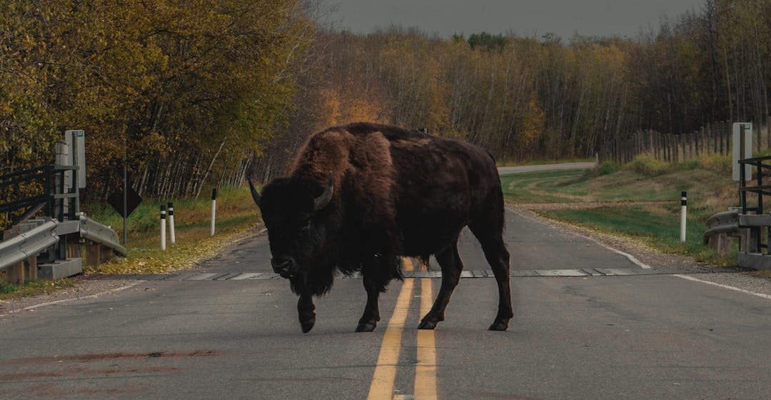 e learning für unternehmen