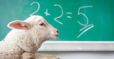 Neue Mitarbeitende onboarden | 360Learning