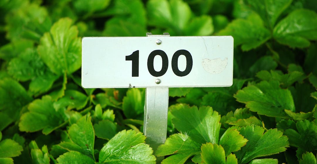 ‘The Only Time Learning Was More Fun than Hacking the LMS’: My First 100 Days as a 360Learning Architect