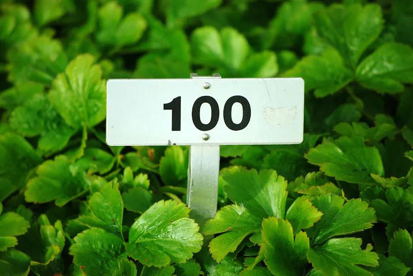 ‘The Only Time Learning Was More Fun than Hacking the LMS’: My First 100 Days as a 360Learning Architect