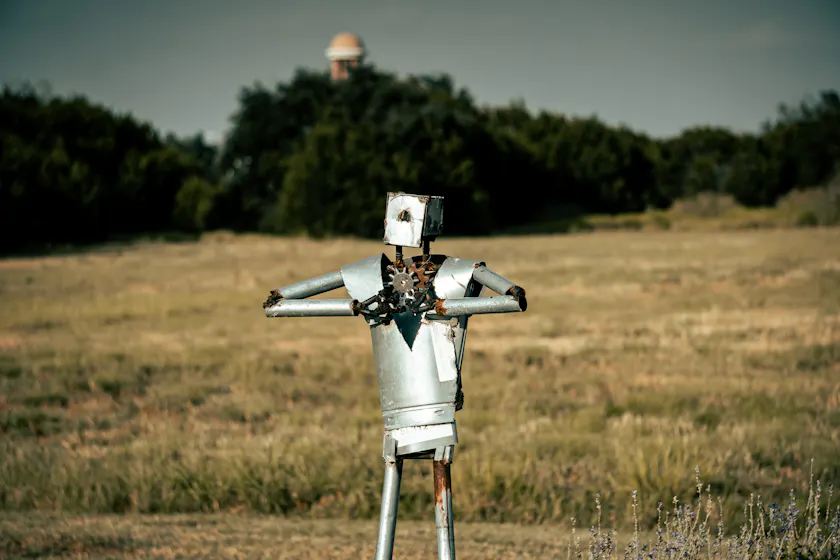 en-photo-of-tin-man-representing-technical-skills
