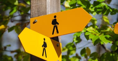 Mitarbeiterschulung Leitfaden für Programme | 360Learning